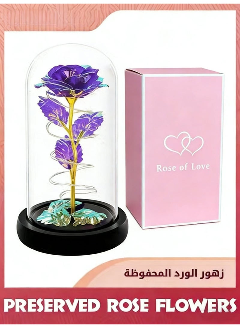 زهرة مصطنعة ملونة هدية الورد,ضوء LED للأبد ورد هدايا عيد ميلاد للمرأة أم الجدة زوجة,زهرة الورد في القبة الزجاجية,الجمال الخالد للزمن,هدايا فريدة من نوعها لعيد الأم / عيد ميلاد,الأرجواني,, - Image 1